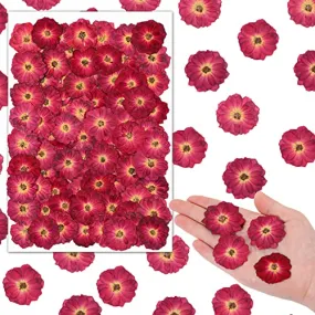 100 Pcs Red Rose Dried Pressed Flowers Small Dry Flowers Real Natural Resin Filler for Scrapbooking DIY Resin Crafts Candle Decoration Jewelry Crafts