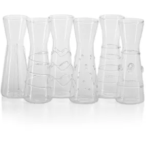 6-Piece Zalli Assorted Glass Carafe Set