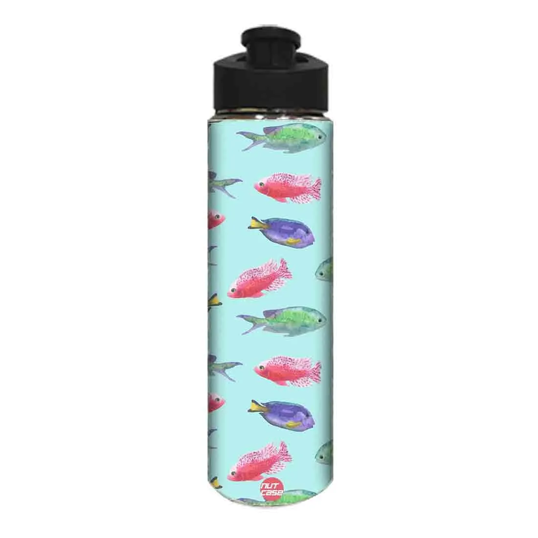 Birthday Return Gifts Ideas -  Sweet Fishes