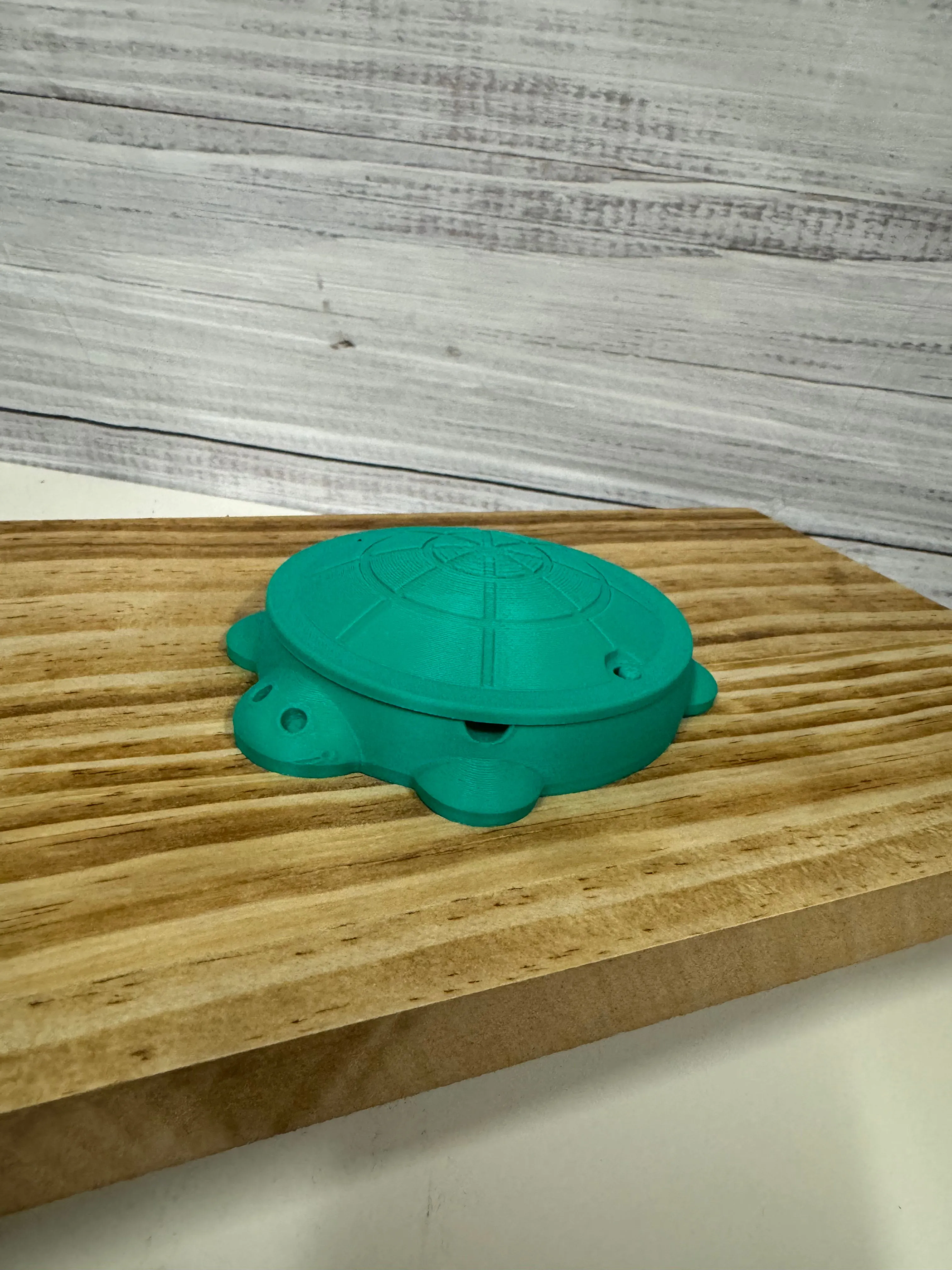 Mini Turtle Sandbox w/ Real Sand & Mini Tools