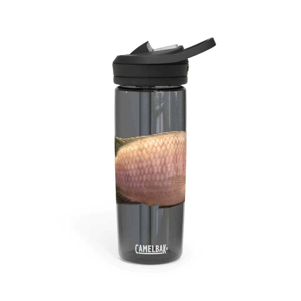 Peach Fish CamelBak Eddy®  Water Bottle, 20oz / 25oz