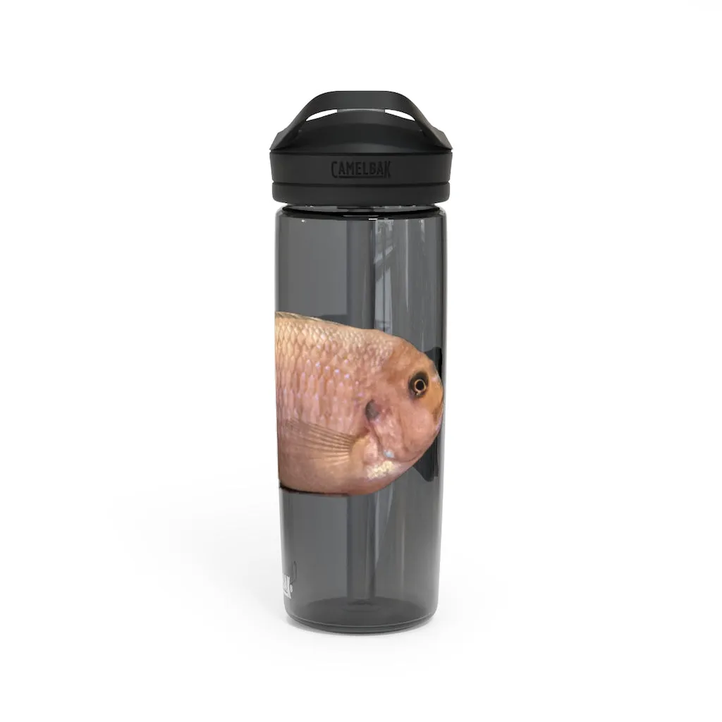 Peach Fish CamelBak Eddy®  Water Bottle, 20oz / 25oz