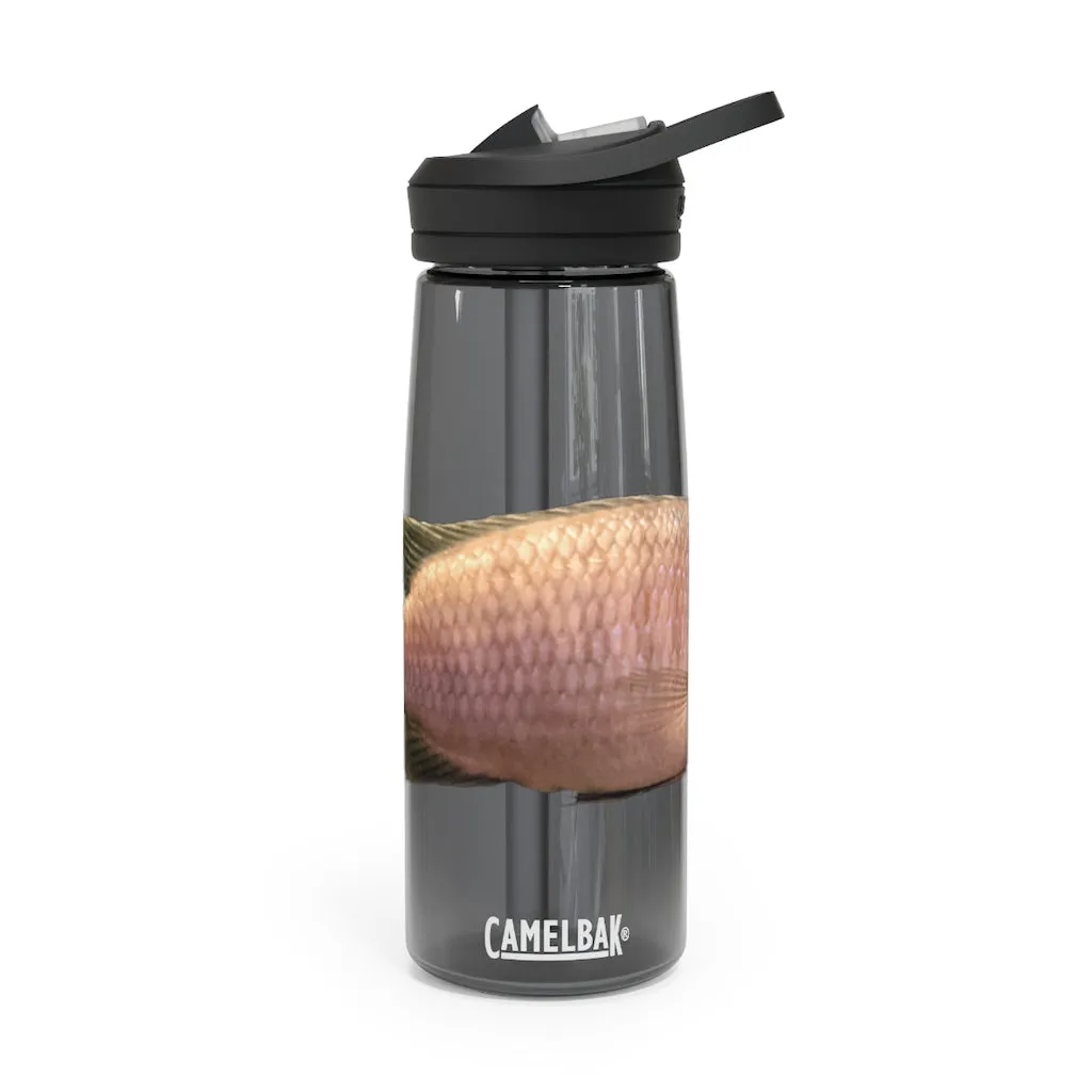 Peach Fish CamelBak Eddy®  Water Bottle, 20oz / 25oz