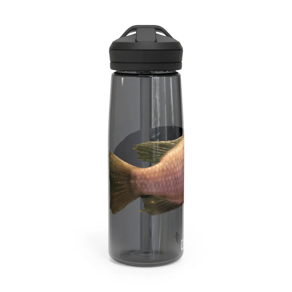 Peach Fish CamelBak Eddy®  Water Bottle, 20oz / 25oz