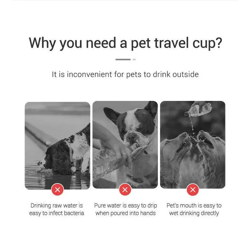 Portable Leakproof Pet Water Bottle